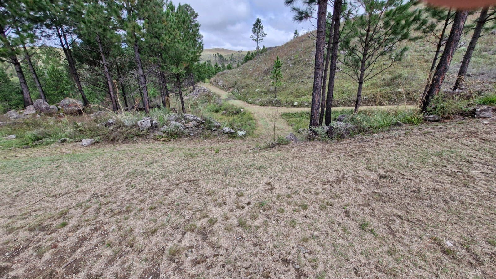 La Montaña - foto