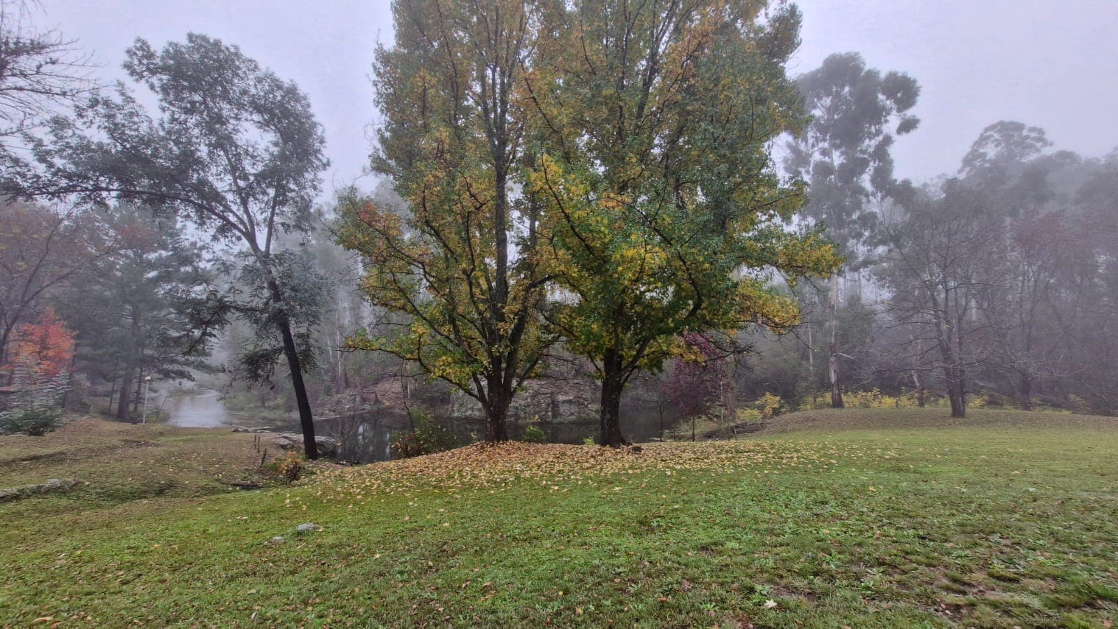 La Montaña - foto
