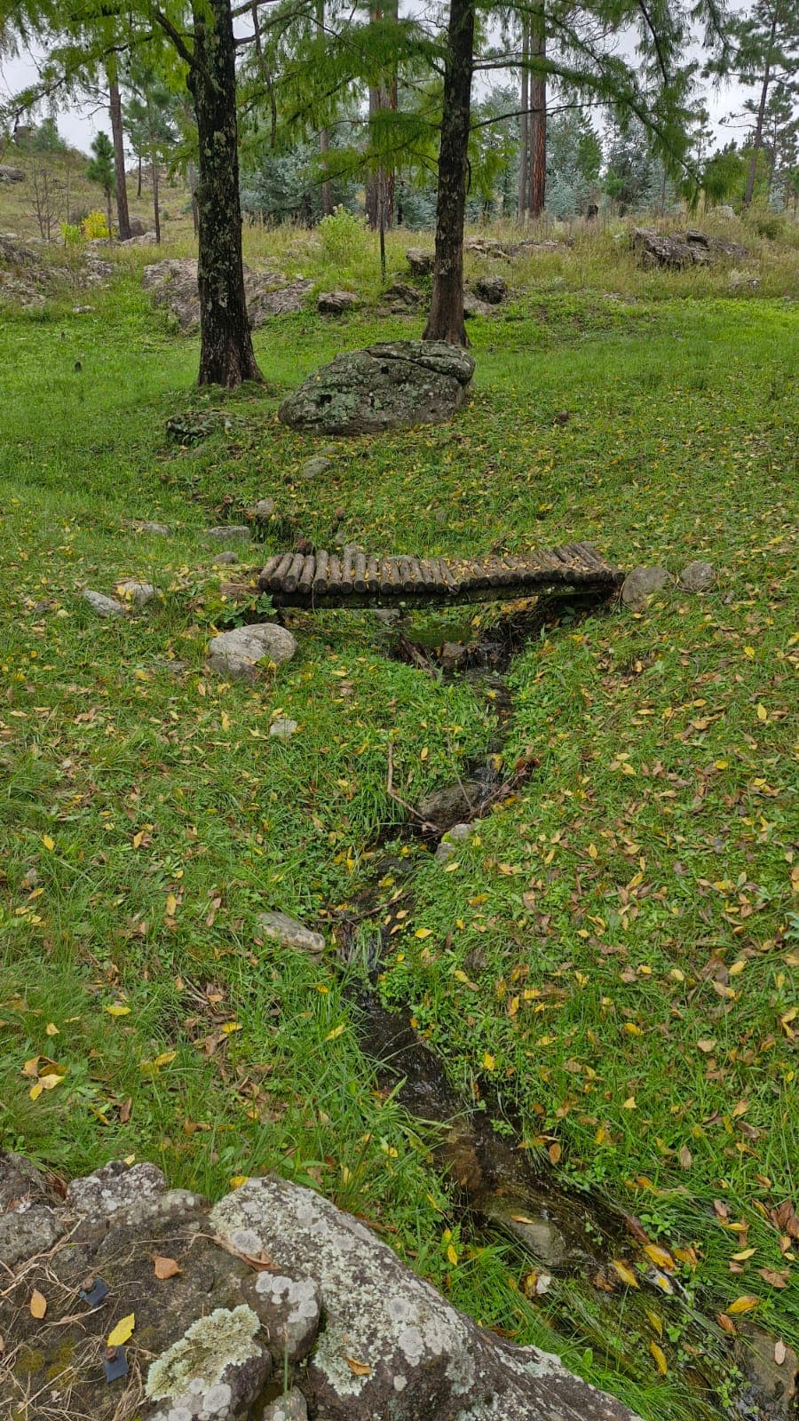 La Montaña - foto